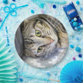 タイガー ペーパープレート (パーティー)