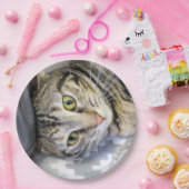 タイガー ペーパープレート (パーティー)