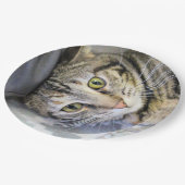 タイガー ペーパープレート (アングル)