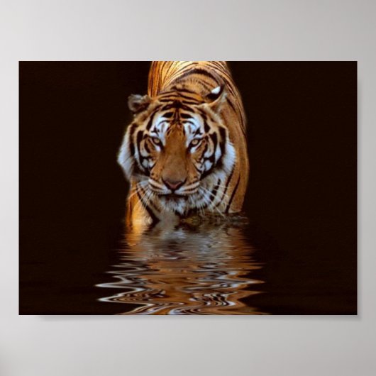 タイガー ポスター (正面)