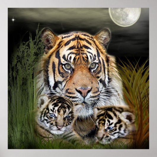 タイガー ポスター (正面)