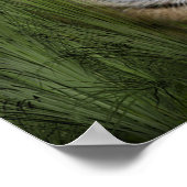 タイガー ポスター (角)