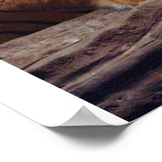 タイガー ポスター (角)