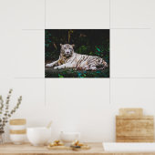 タイガー ポスター (キッチン)