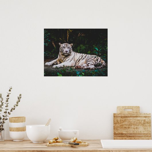 タイガー ポスター (キッチン)