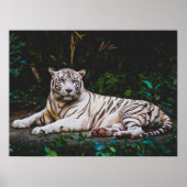 タイガー ポスター (正面)