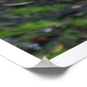 タイガー ポスター (角)