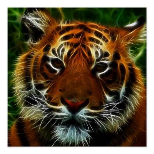 タイガー ポスター (正面)