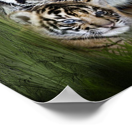 タイガー ポスター (角)