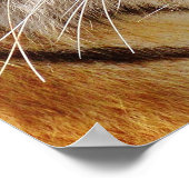 タイガー ポスター (角)