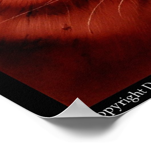 タイガー ポスター (角)