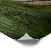 タイガー ポスター (角)