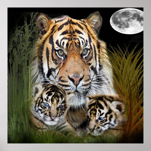 タイガー ポスター (正面)