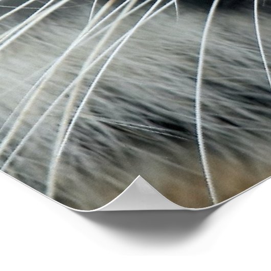 タイガー ポスター (角)