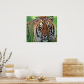 タイガー ポスター (キッチン)