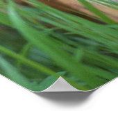 タイガー ポスター (角)