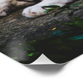 タイガー ポスター (コーナー)