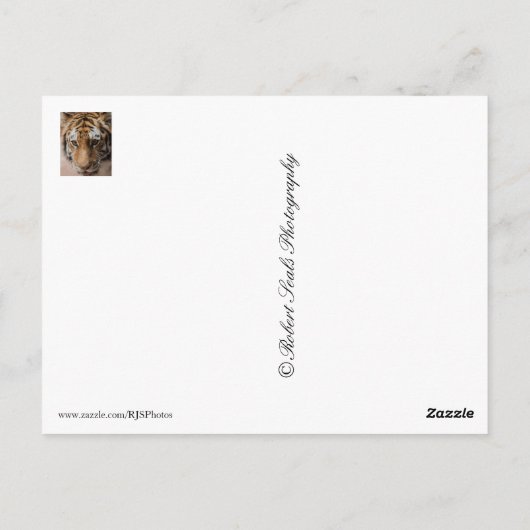 タイガー ポストカード (裏面)