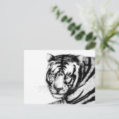 タイガー ポストカード (スタンド正面)