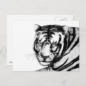 タイガー ポストカード (正面/裏面)