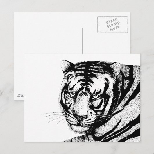 タイガー ポストカード (正面/裏面)