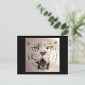 タイガー ポストカード (スタンド正面)