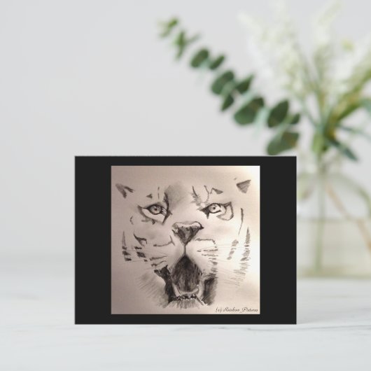 タイガー ポストカード (スタンド正面)