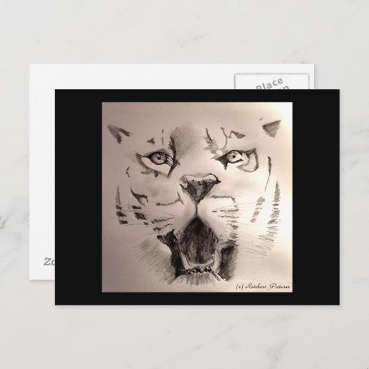 タイガー ポストカード (正面/裏面)