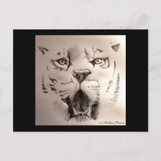 タイガー ポストカード