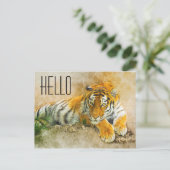 タイガー ポストカード (スタンド正面)