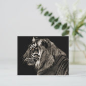 タイガー ポストカード (スタンド正面)