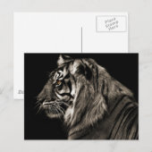 タイガー ポストカード (正面/裏面)