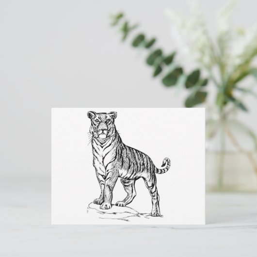 タイガー ポストカード (スタンド正面)