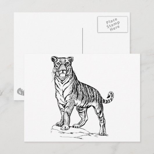 タイガー ポストカード (正面/裏面)