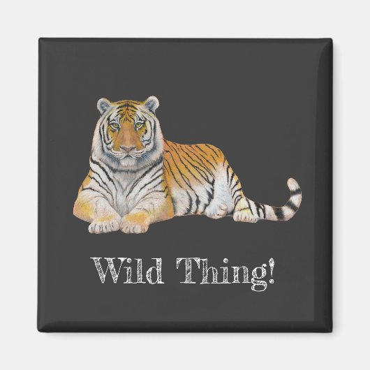 タイガー マグネット (正面)