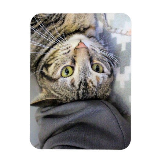 タイガー マグネット (縦)