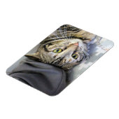 タイガー マグネット (左側)