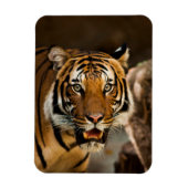 タイガー マグネット (縦)