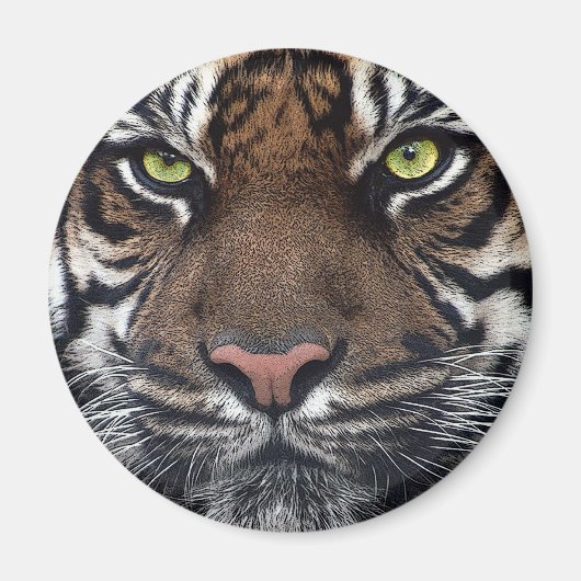 タイガー マグネット (正面)