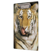 タイガー・ミシガン動物園 クリップボード (左)