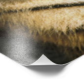 タイガー・ミシガン動物園 フォトプリント            (角)