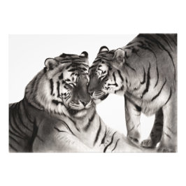 タイガー ラブ アート - 手描きの野生動物インテリア フォトプリント