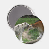 タイガー・ラブ マグネット (正面/裏面)