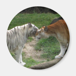 タイガー・ラブ マグネット