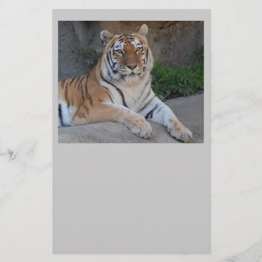 タイガー・ラブ 便箋 (正面)