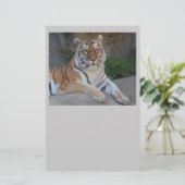 タイガー・ラブ 便箋 (スタンド正面)