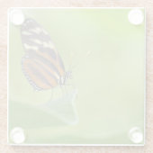 タイガー・ロングウィング・バタフライ ガラスコースター (裏面)