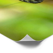 タイガー・ロングウィング・バタフライ ポスター (角)