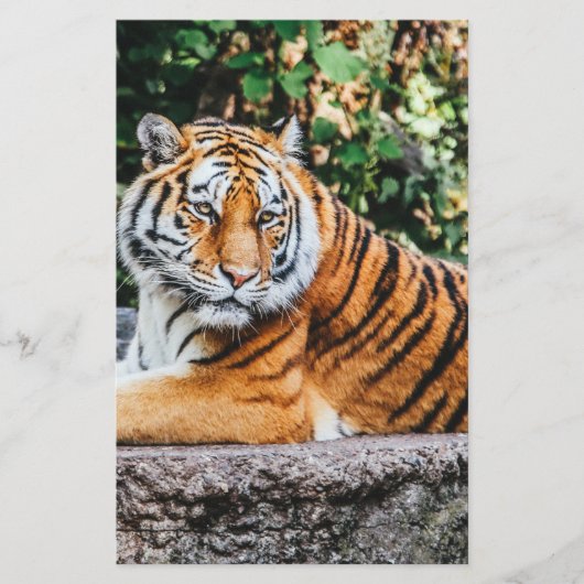 タイガー 便箋 (正面)