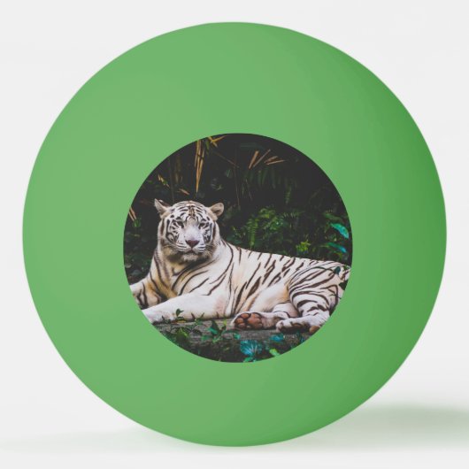 タイガー 卓球ボール (正面)